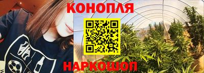 каннабис Владивосток