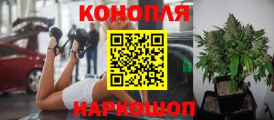 каннабис Владивосток