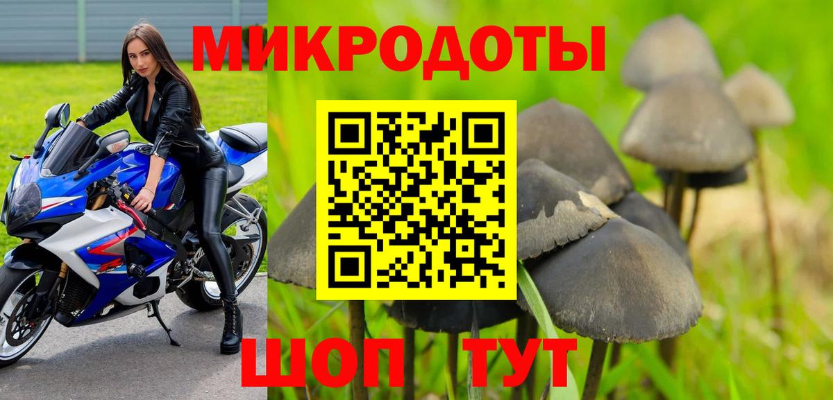 Псилоцибиновые грибы прущие грибы Чебаркуль